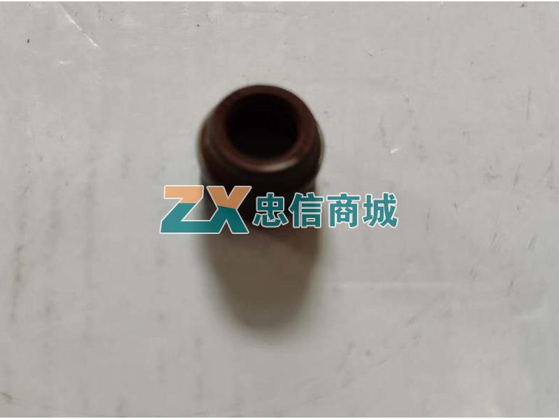 气门油封(WP12)