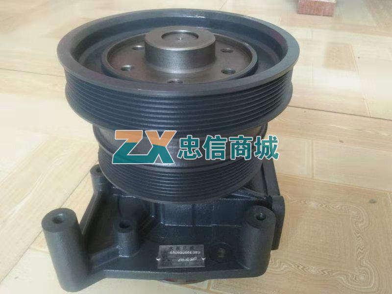 Water Pump (0389)