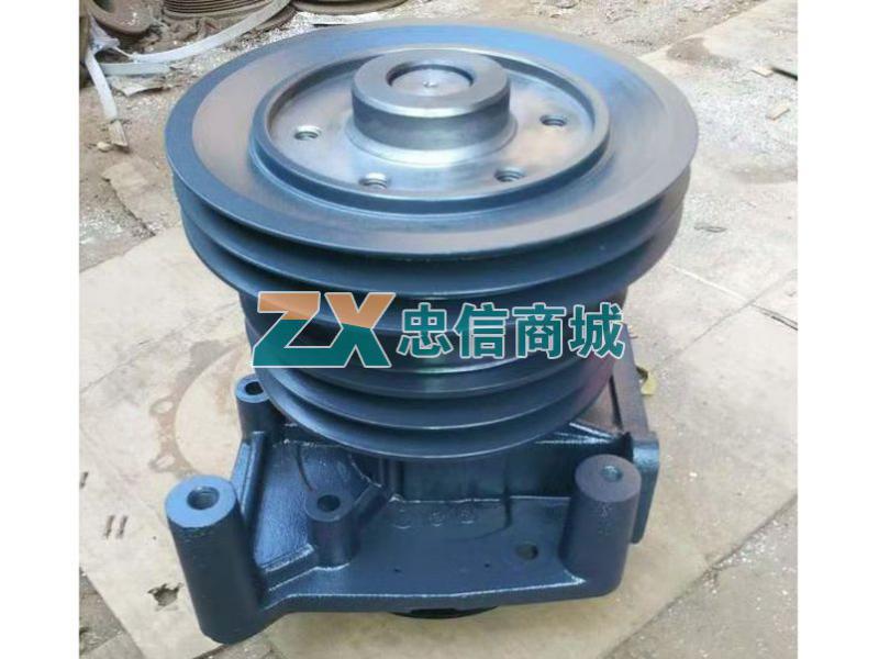 Water Pump (68)